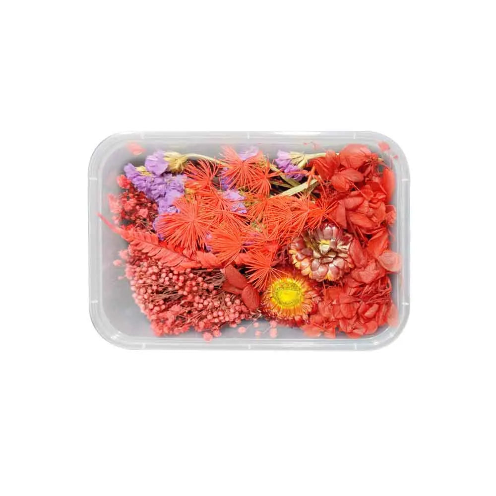 DIY Dried Flowers Resin Mold Fillings UV Expoxy Flower for Nail