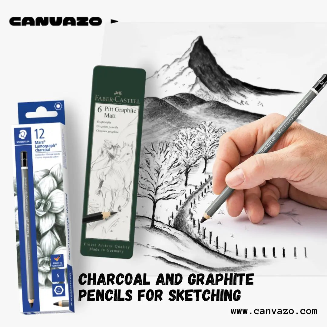 Graphite vs Charcoal: A Brief Guide For Artists