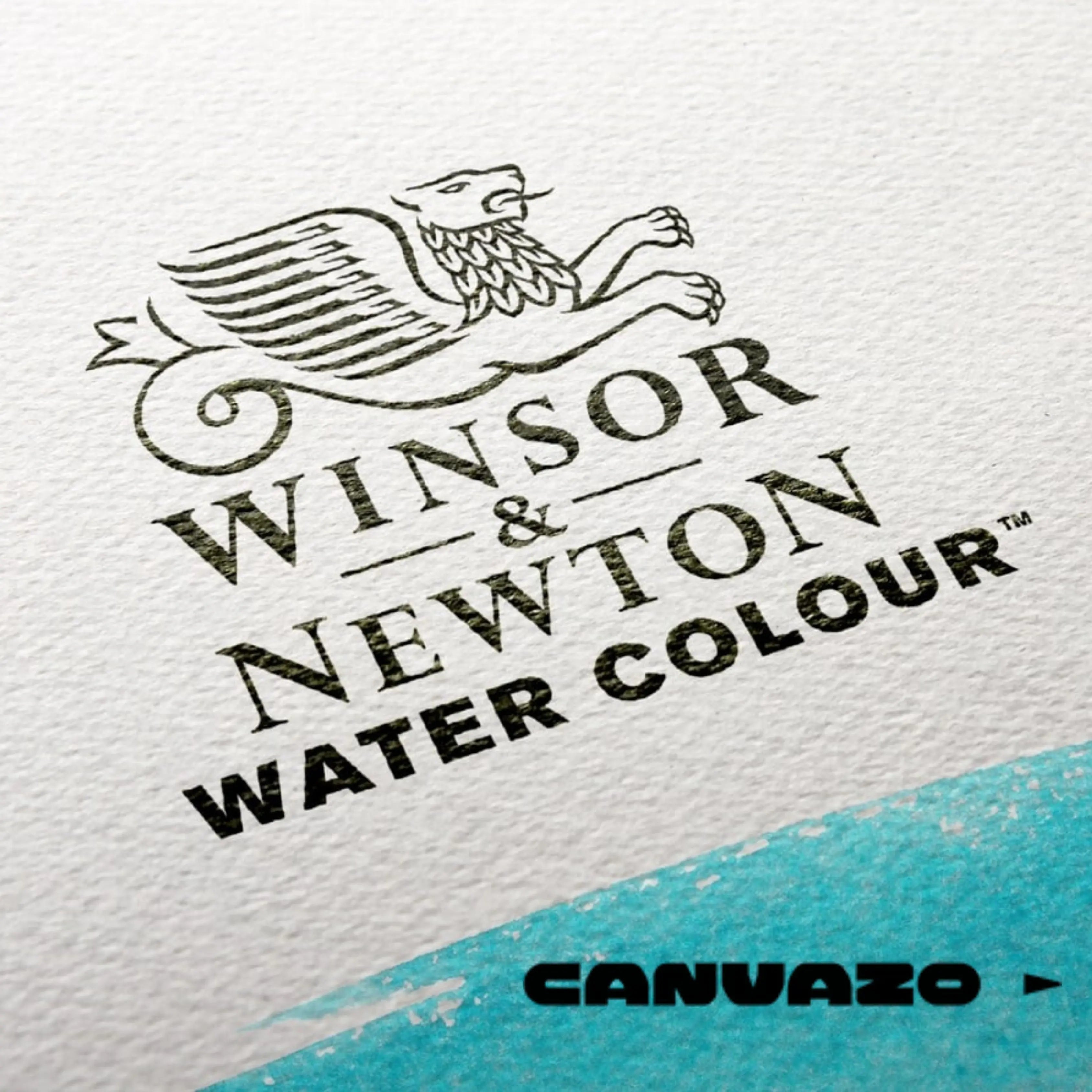 Winsor and Newton: A History of Excellence in Art Supplies Canvazo