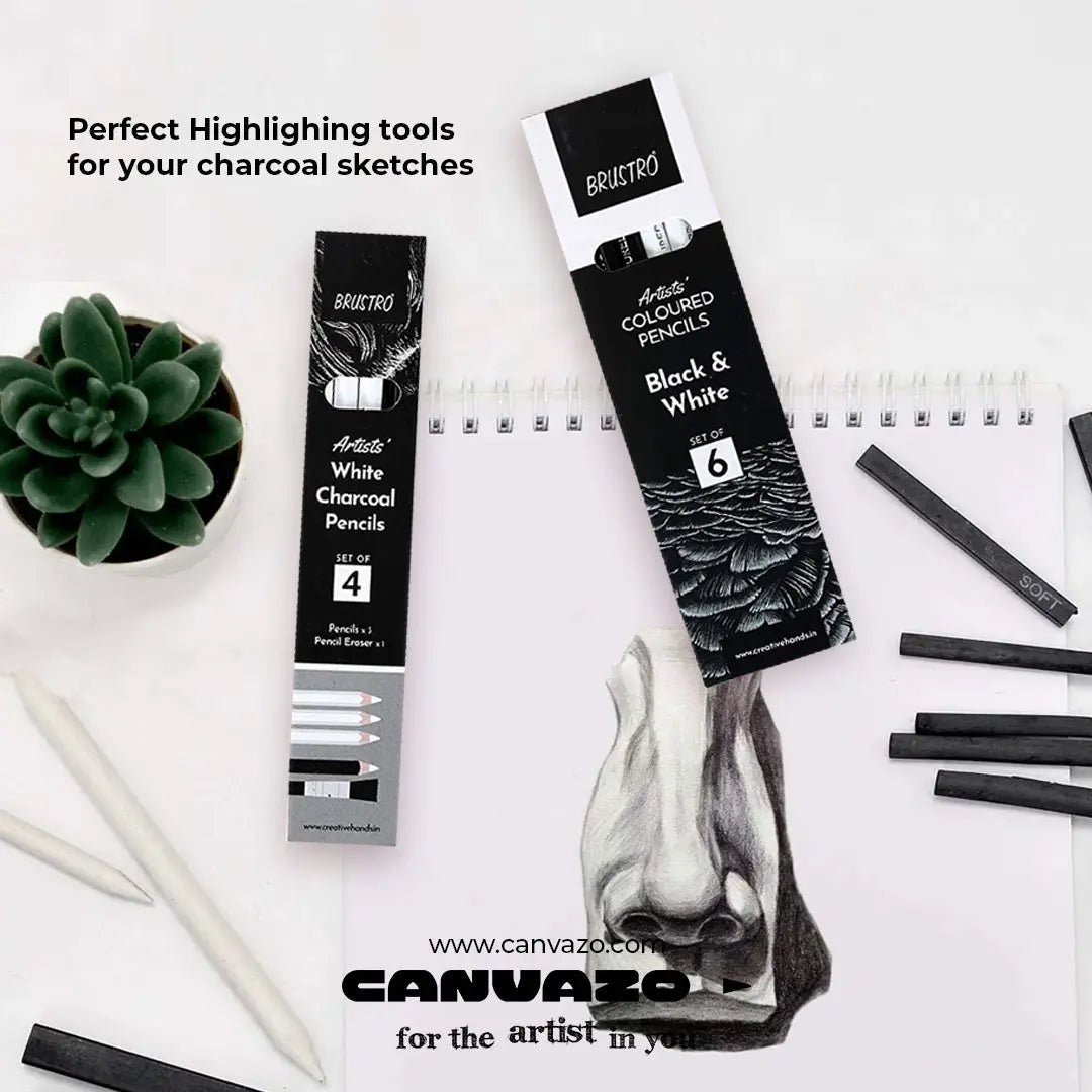 The Best Charcoal Pencils for Your Artistic Needs Canvazo