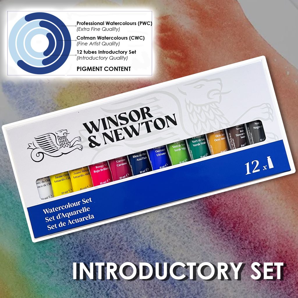 Winsor & Newton Introductory Set of 12 - Watercolour, Acrylic or Oil