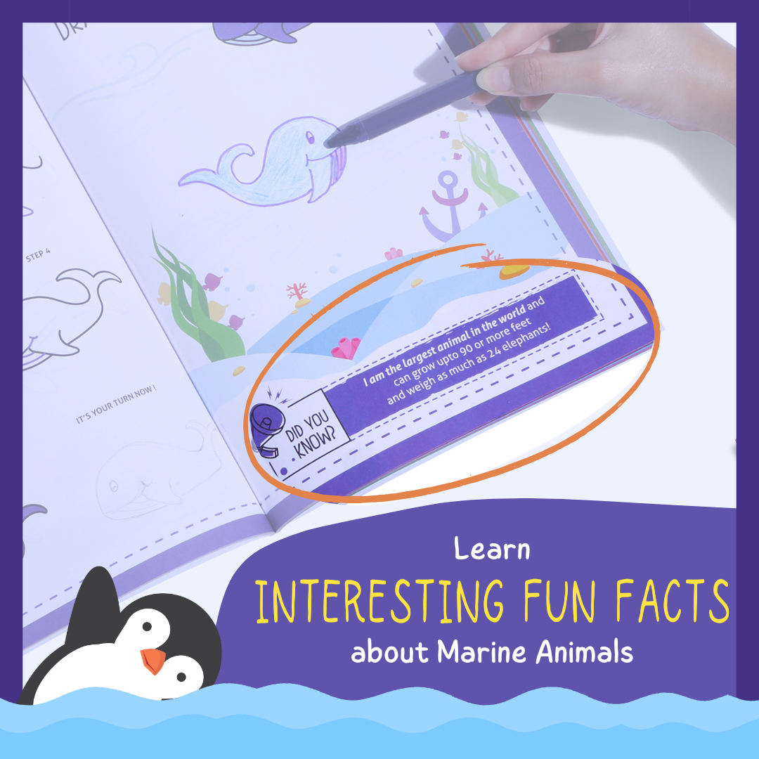 Child colouring a marine animal drawing – fun facts and creative learning about ocean life – PepPlay India