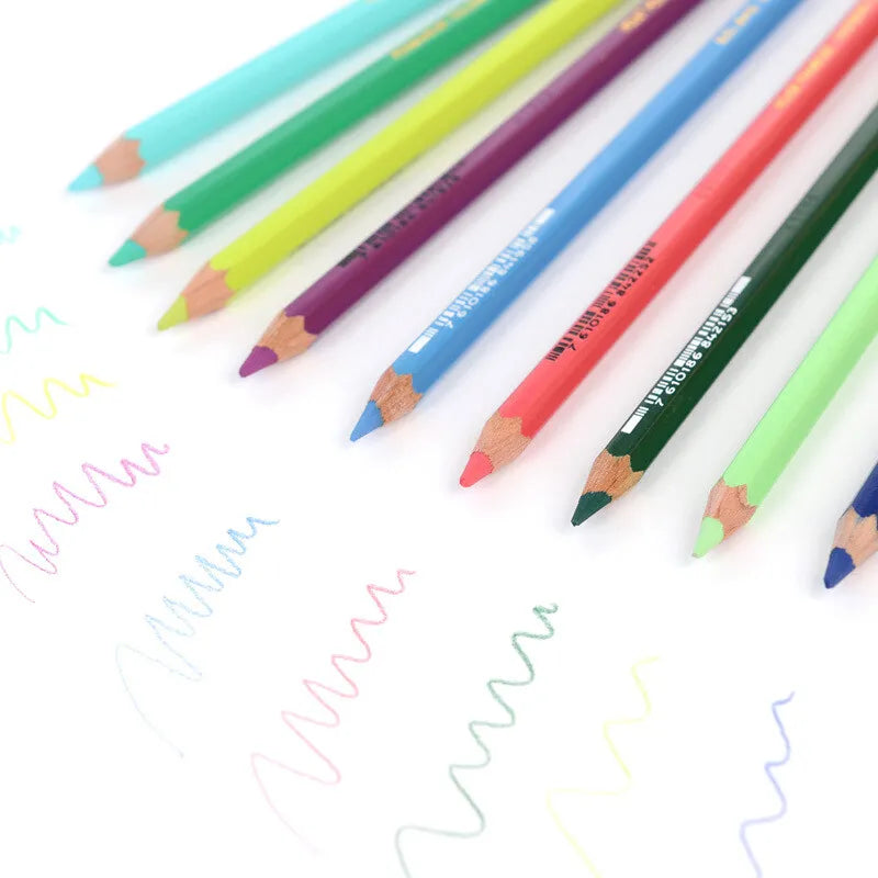 Caran D'Ache Artist Pablo Color Pencils 80 Shades