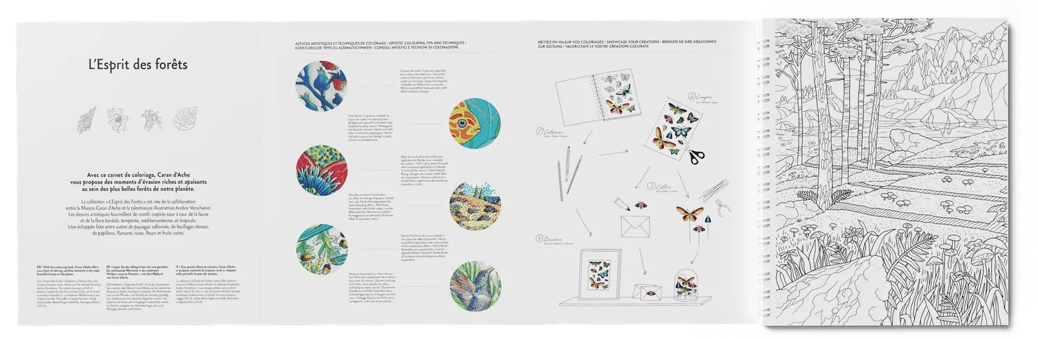 Caran D'Ache L’esprit Des Forêts A4 Colouring Book 25 Drawings 250 Gsm