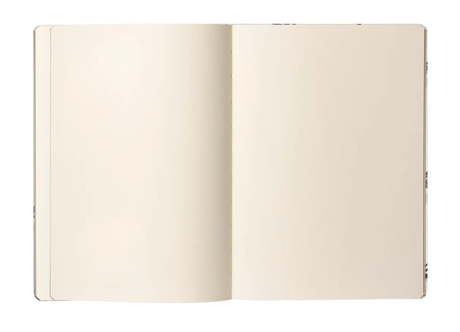 Caran D'Ache RYLSEE Sketchbook, A5 170Gsm Ivory Paper 64 Pages