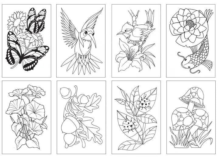 Chameleon Color Cards Nature