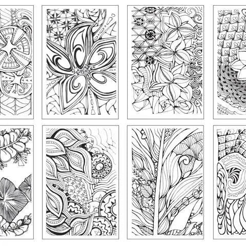 Chameleon Color Cards Zen Doodles