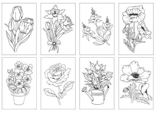 Chameleon Flowers Coloring Cards for Creative Art