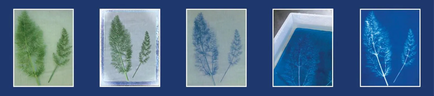 Jacquard Cyanotype Pretreat 8.5" x 11" Fabric Sheet (10 Pack), Blue