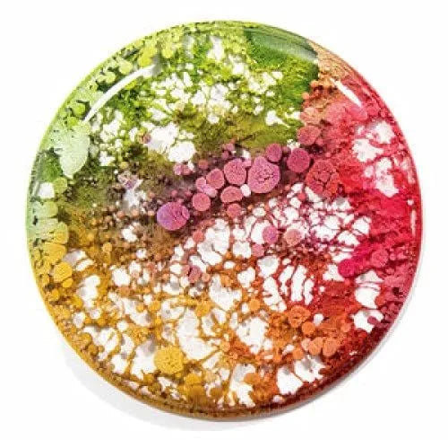 Jacquard Piñata Masterpiece® Set – Alcohol Ink & Art Panels Kit