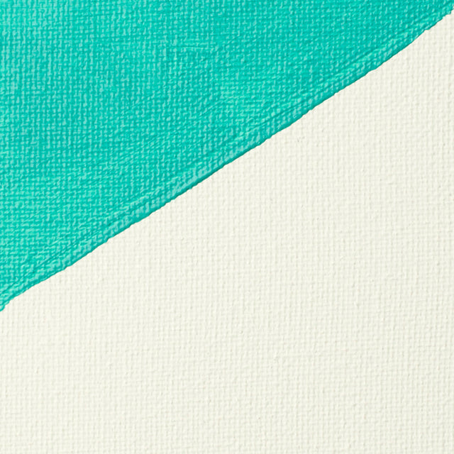Canvazo