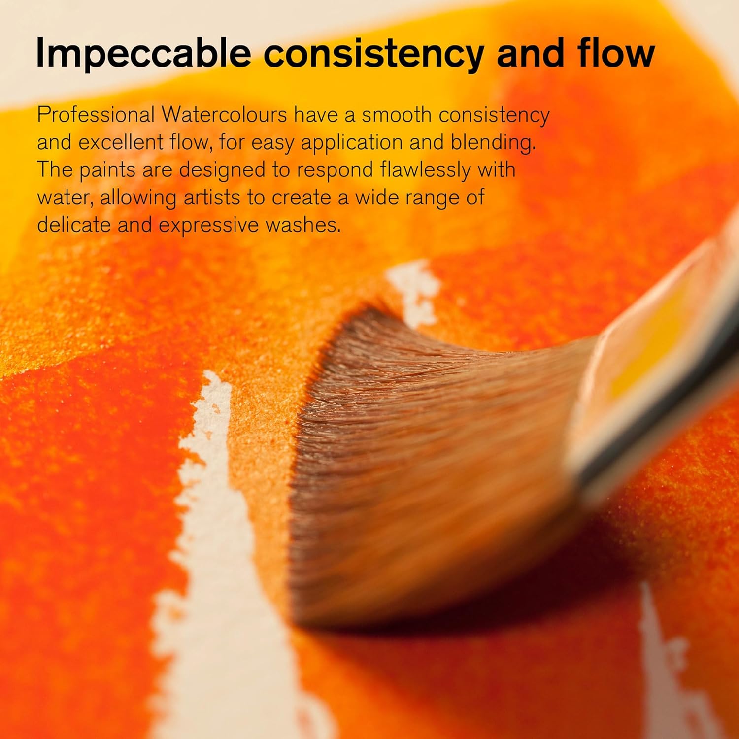 Winsor And Newton Professional Water Colour - Black Box 12 Half Pans Set