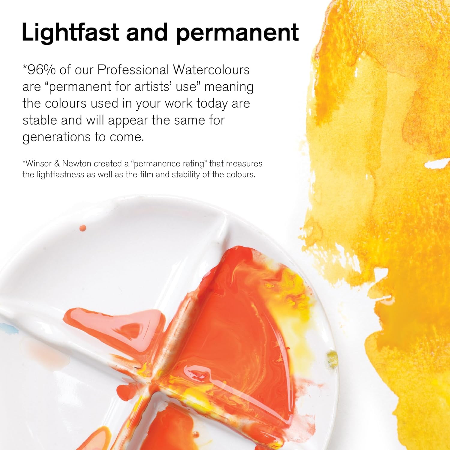 Winsor And Newton Professional Water Colour - Black Box 12 Half Pans Set