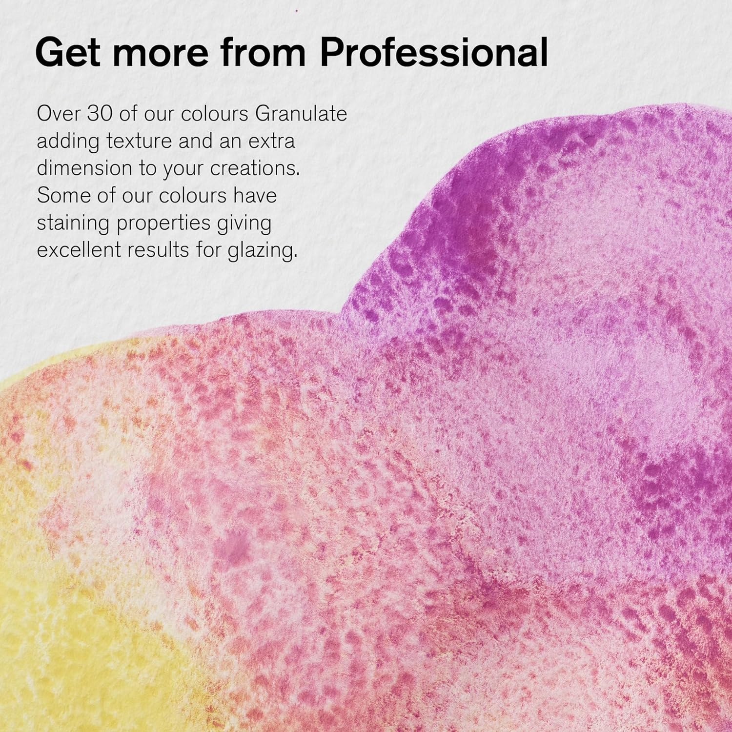 Winsor And Newton Professional Water Colour - Black Box 12 Half Pans Set