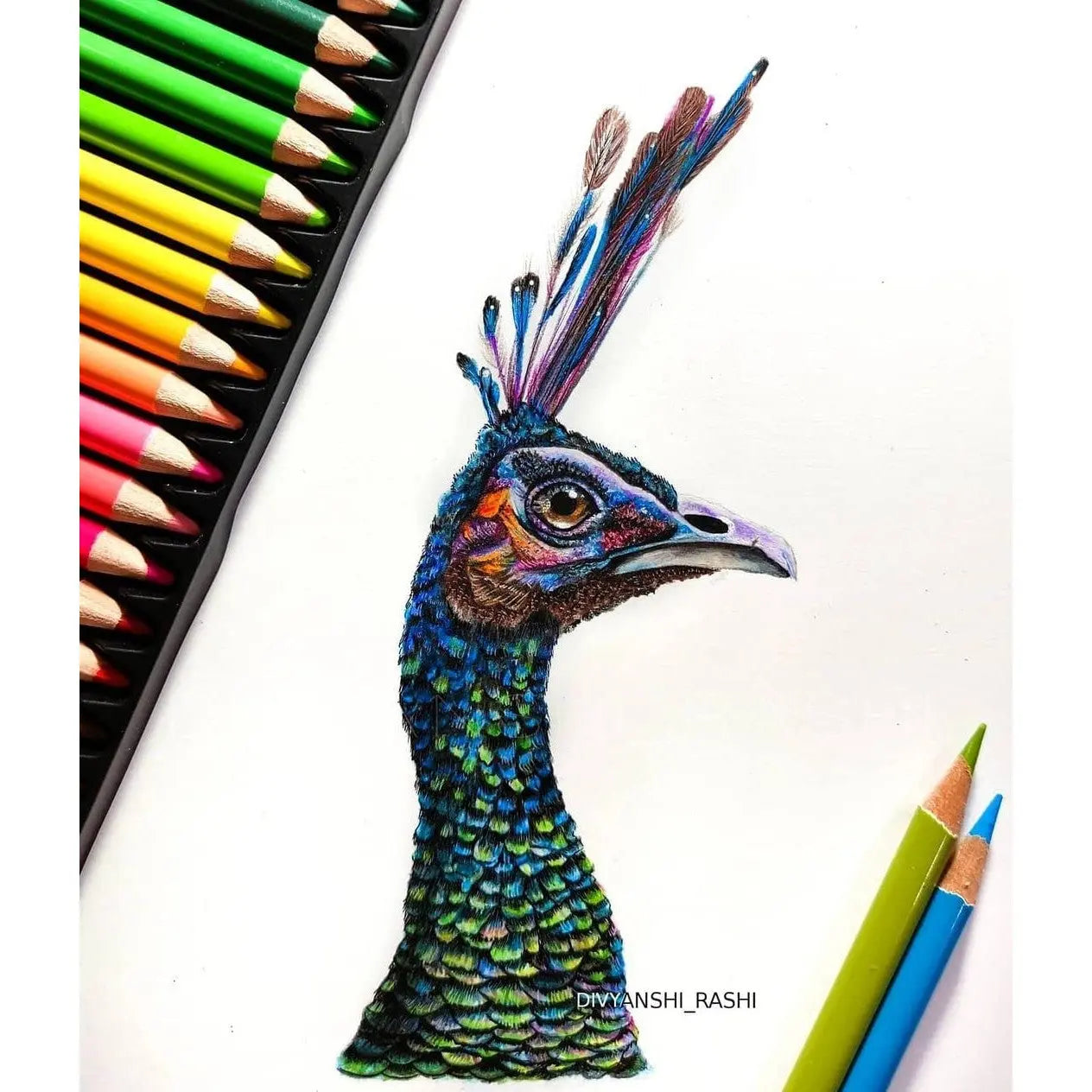 Brustro Artists Coloured Pencils Set Brustro