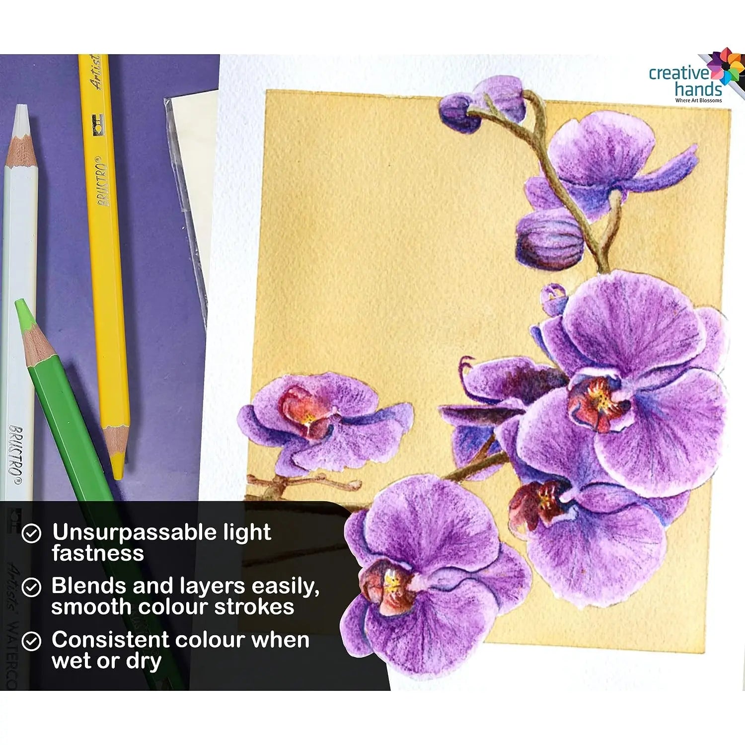 Brustro Artists Watercolour Pencil Sets Brustro