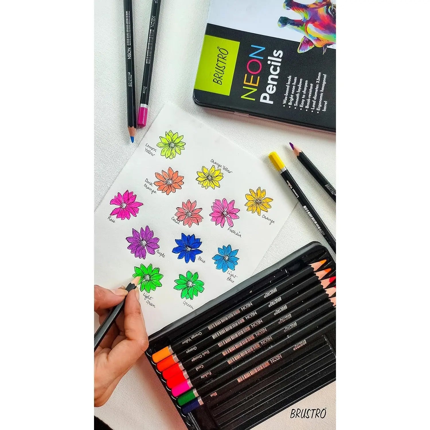 Brustro Skin Tone Coloured Pencils Set of 24 Brustro