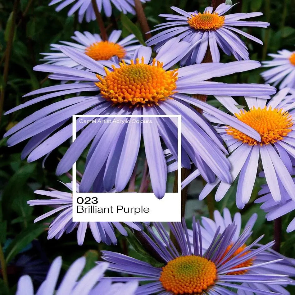 Camel Artist Acrylic Colour 500ml (Loose) Camel