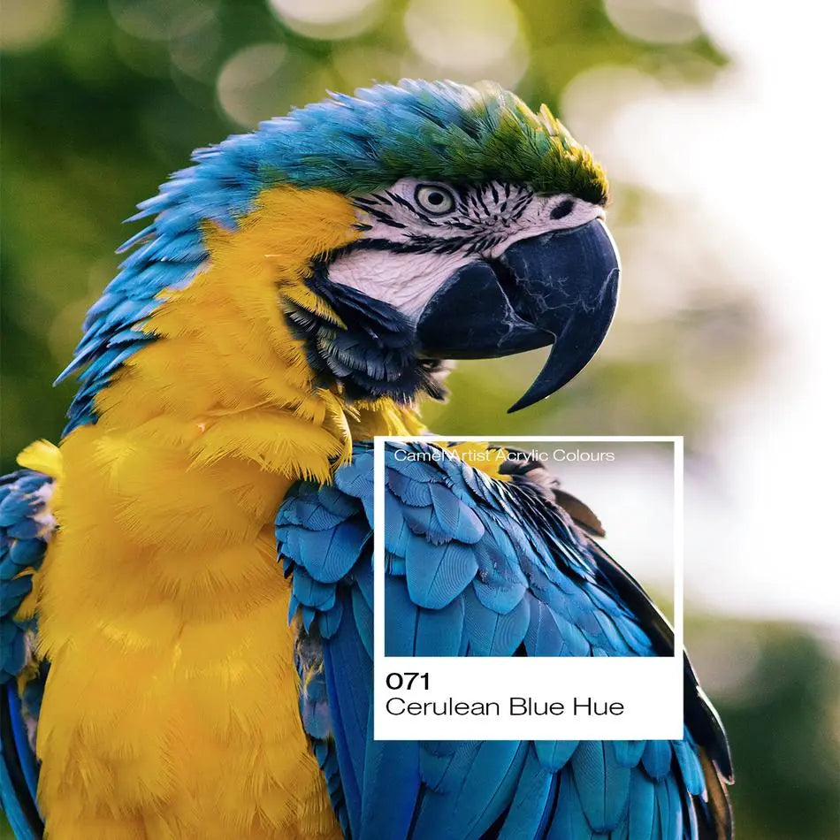 Camel Artist Acrylic Colour 500ml (Loose) Camel