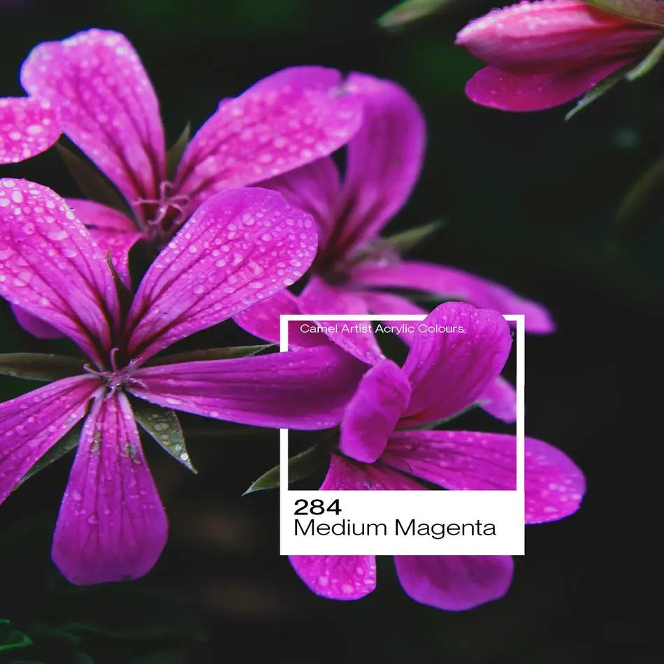 Camel Artist Acrylic Colour 500ml (Loose) Camel