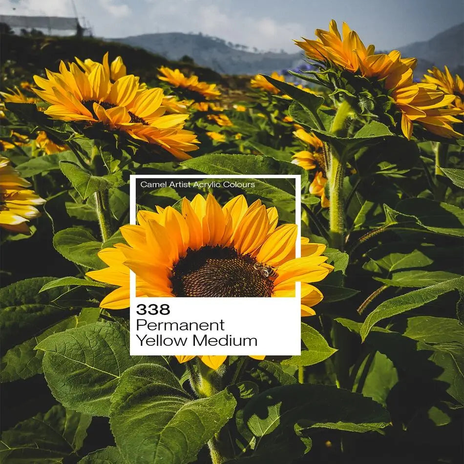 Camel Artist Acrylic Colour 500ml (Loose) Camel