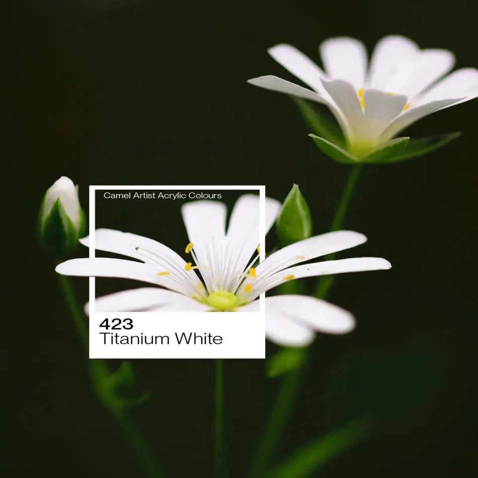 Camel Artist Acrylic Colour 500ml (Loose) Camel