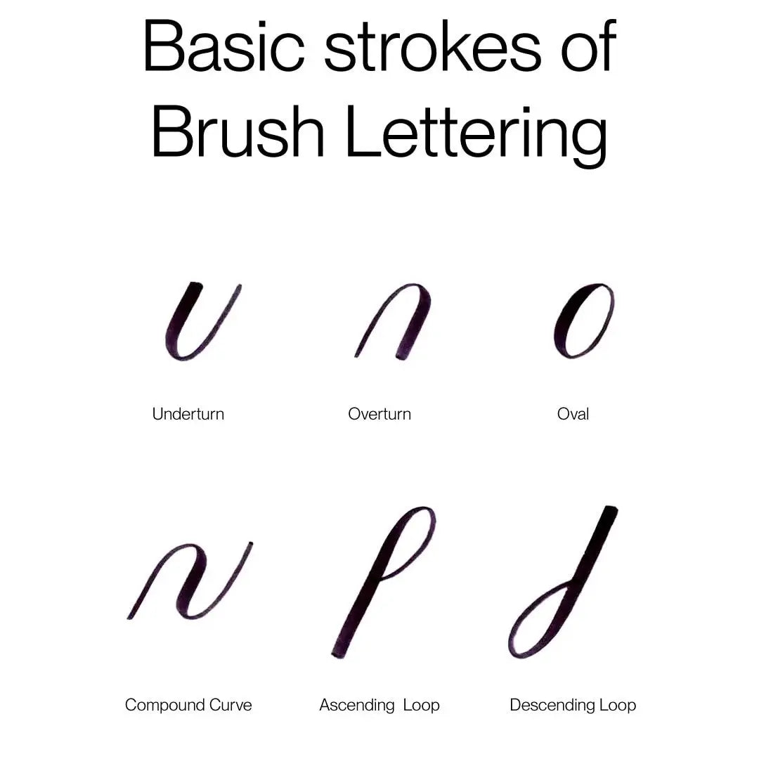 Camlin Artist Brush Pen Set - Pack of 12 Camel