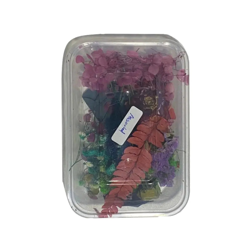 Canvazo Dried Flowers For Resin Art - ( Choose Colours ) Canvazo