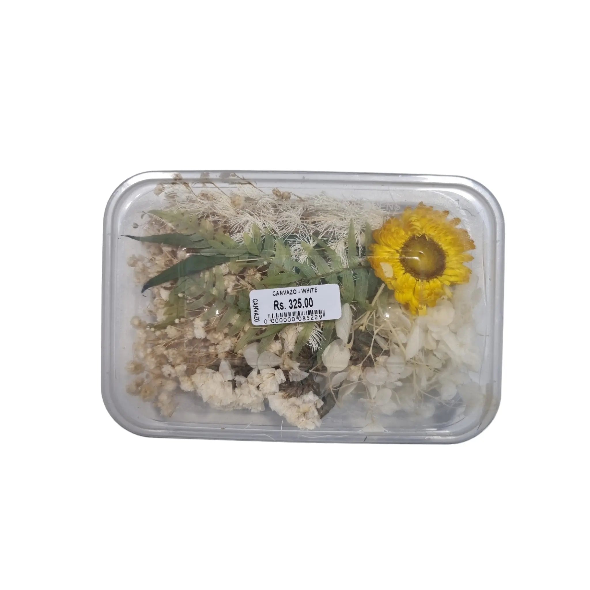 Canvazo Dried Flowers For Resin Art - ( Choose Colours ) Canvazo