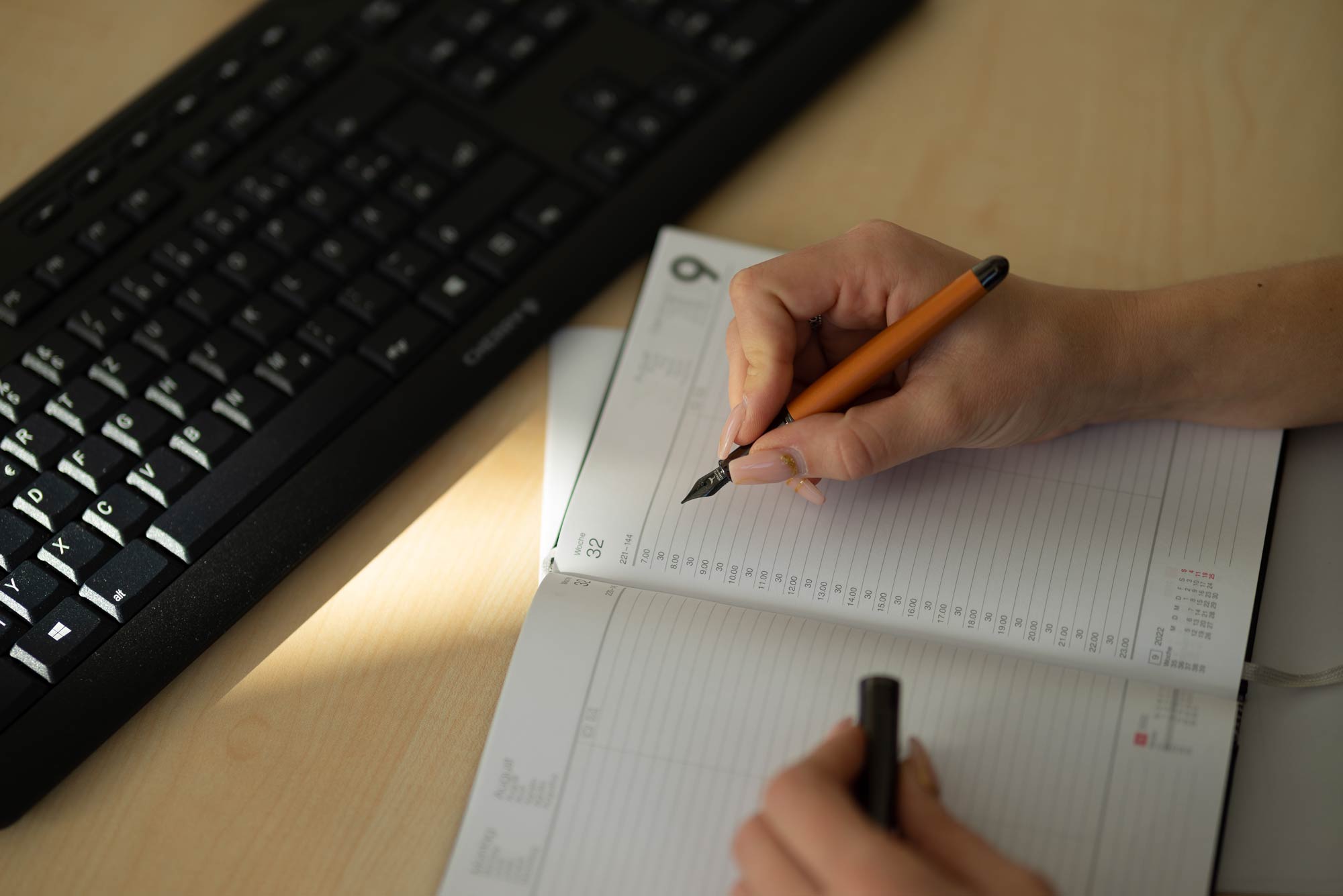 Horner | Auerus | Fountain Pen | Orange Horner