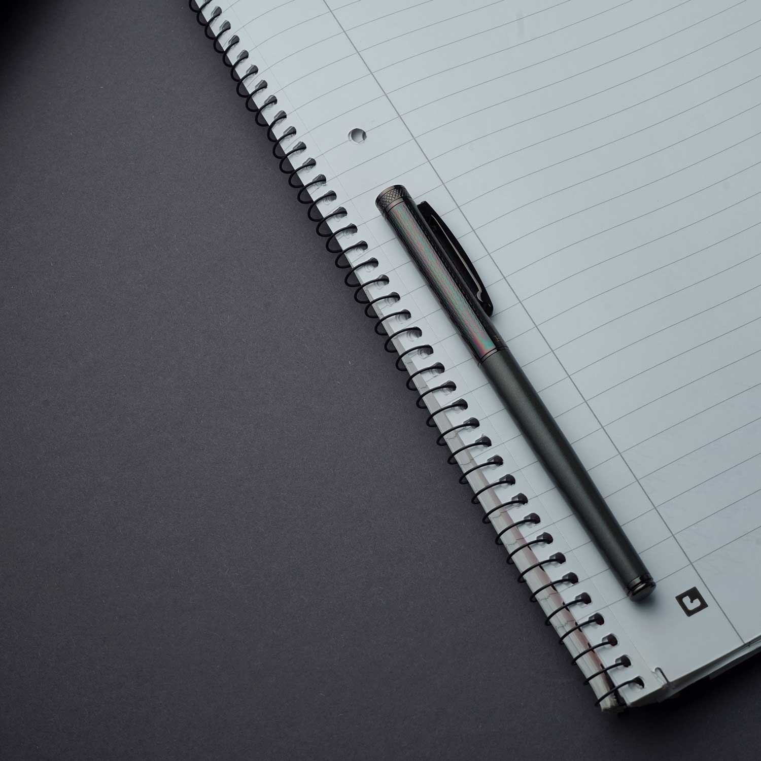 Horner | Levio | Rollerball Pen | Gunmetal Grey Horner