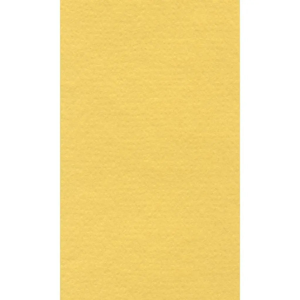 Lana Colour Pastel Paper 160GSM,45% Rag,Sheets Lana