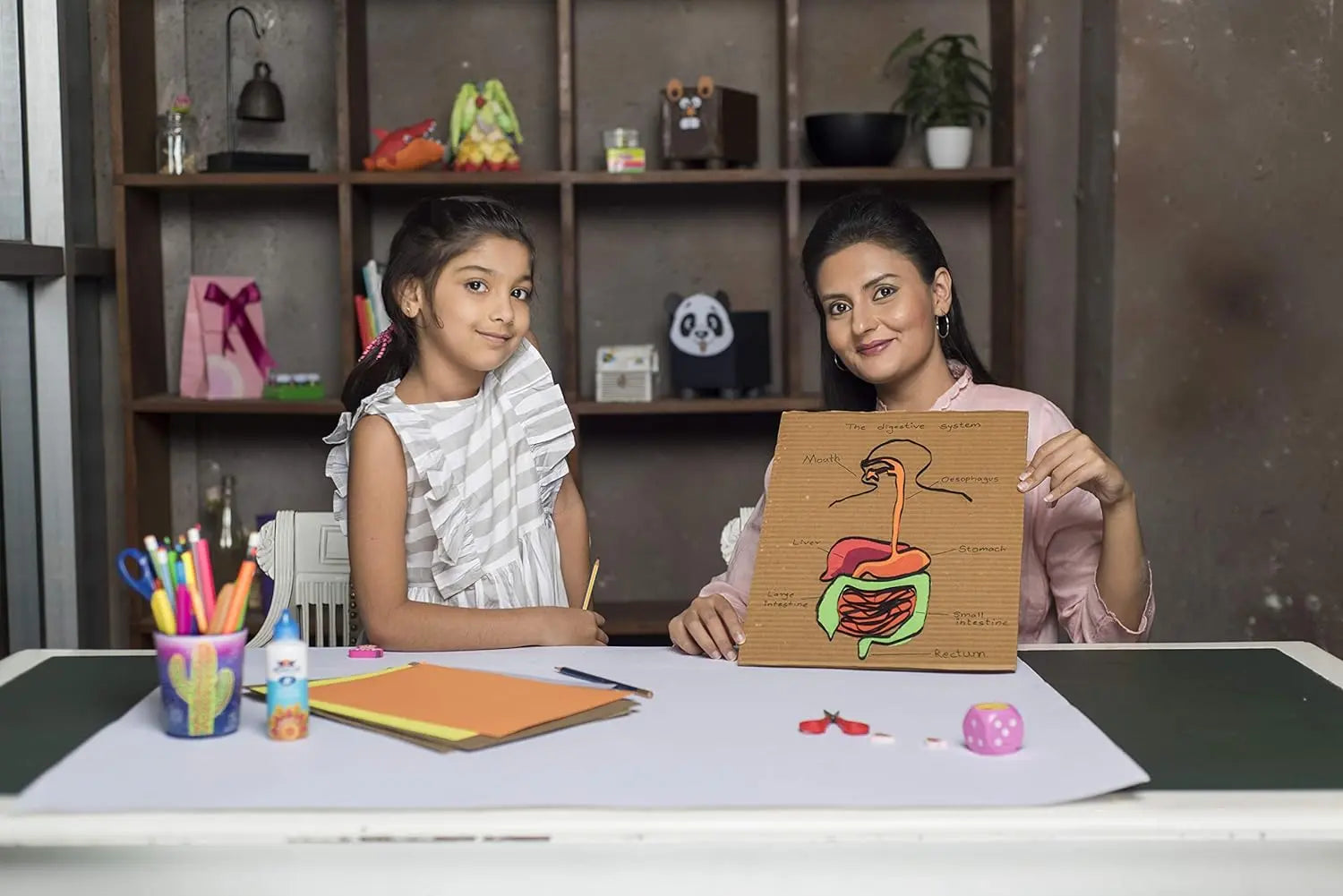 Pidilite Fevicol A Plus Pidilite