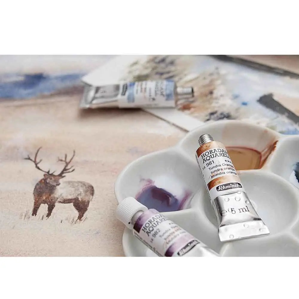 Schmincke Horadam Aquarell Supergranulation Set (5x5) ml Schmincke