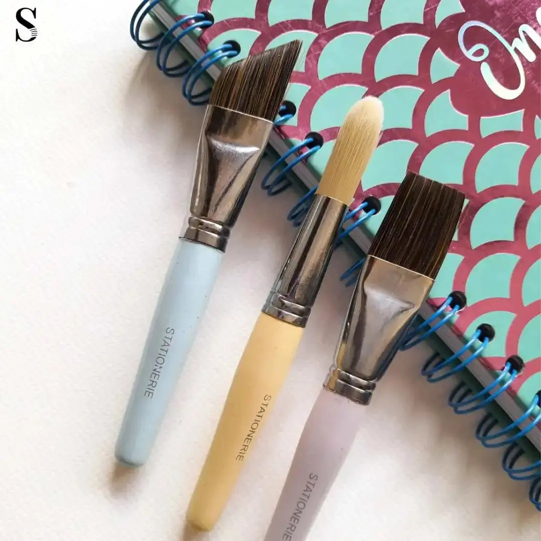 Stationerie Chubby Brushes Ergonomically Designed for Kids & Multi Purpose Usage Stationerie