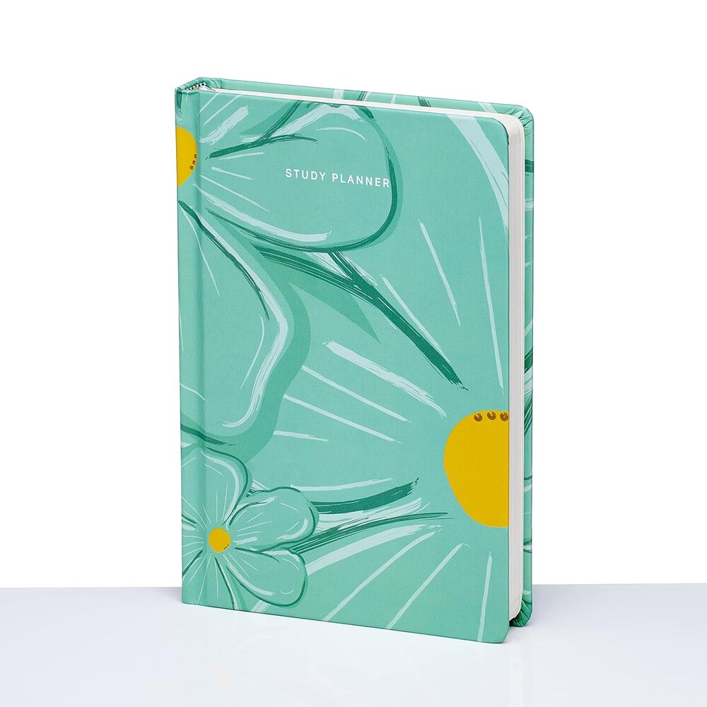 Canvazo