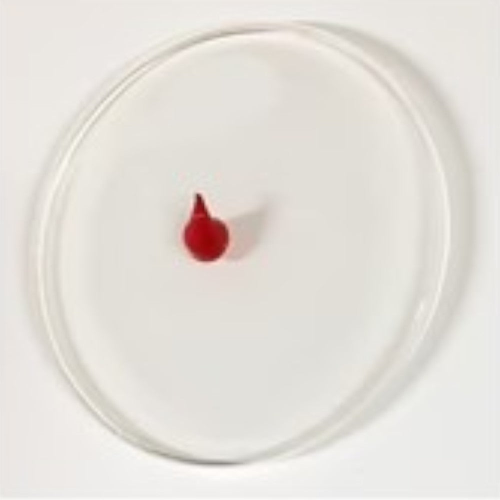 Gelli Arts 4 Inch Round Gelli Printing Plate