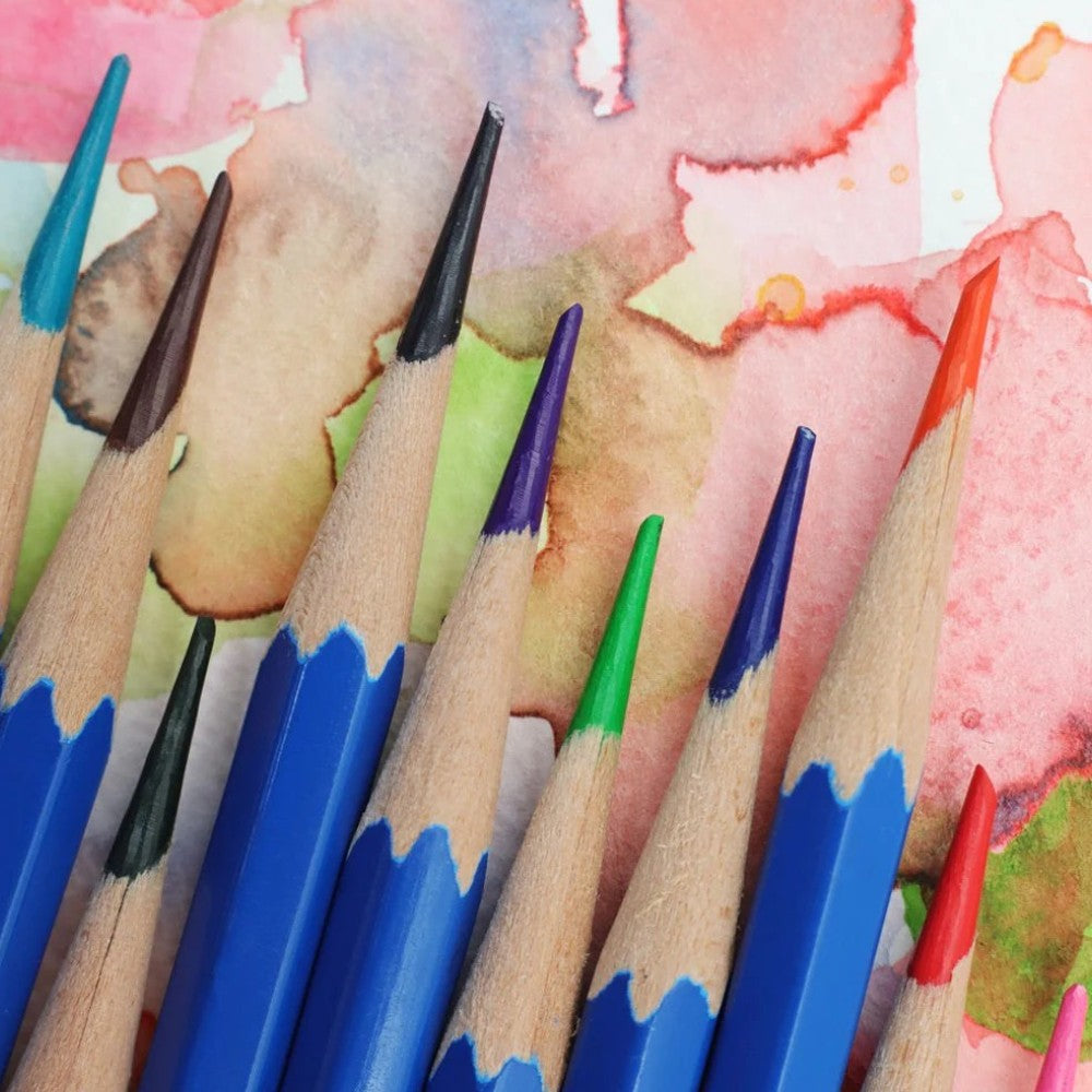 Mont Marte Signature Watercolour Pencils - 12pc - Open View