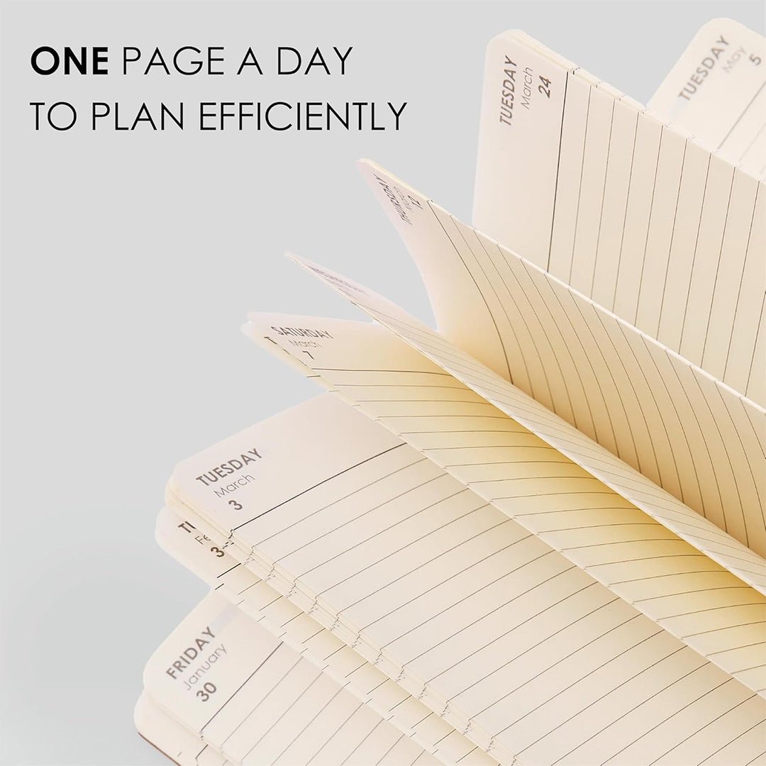 myPAPERCLIP 2026 Daily Planner M1 | Medium Size | BlueBerry |Soft Cover | 384 Pages, 80 GSM | Blue - Berry - penpencilink