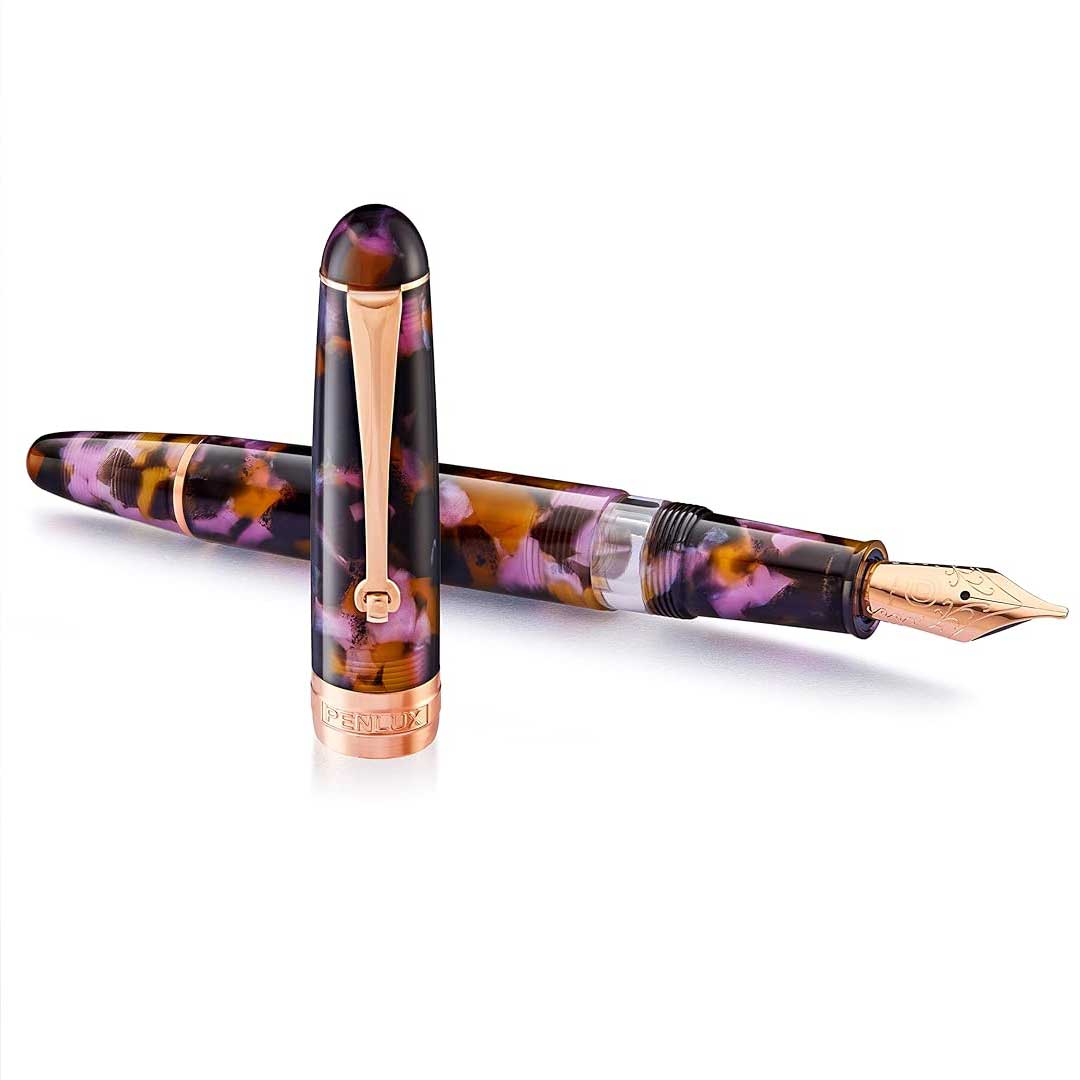 Penlux | Masterpiece Delgado | Fountain Ink Pen | Euploea | Brown Black | Piston Filling Penlux