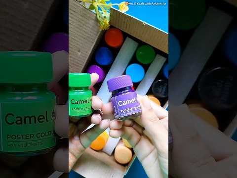 Canvazo