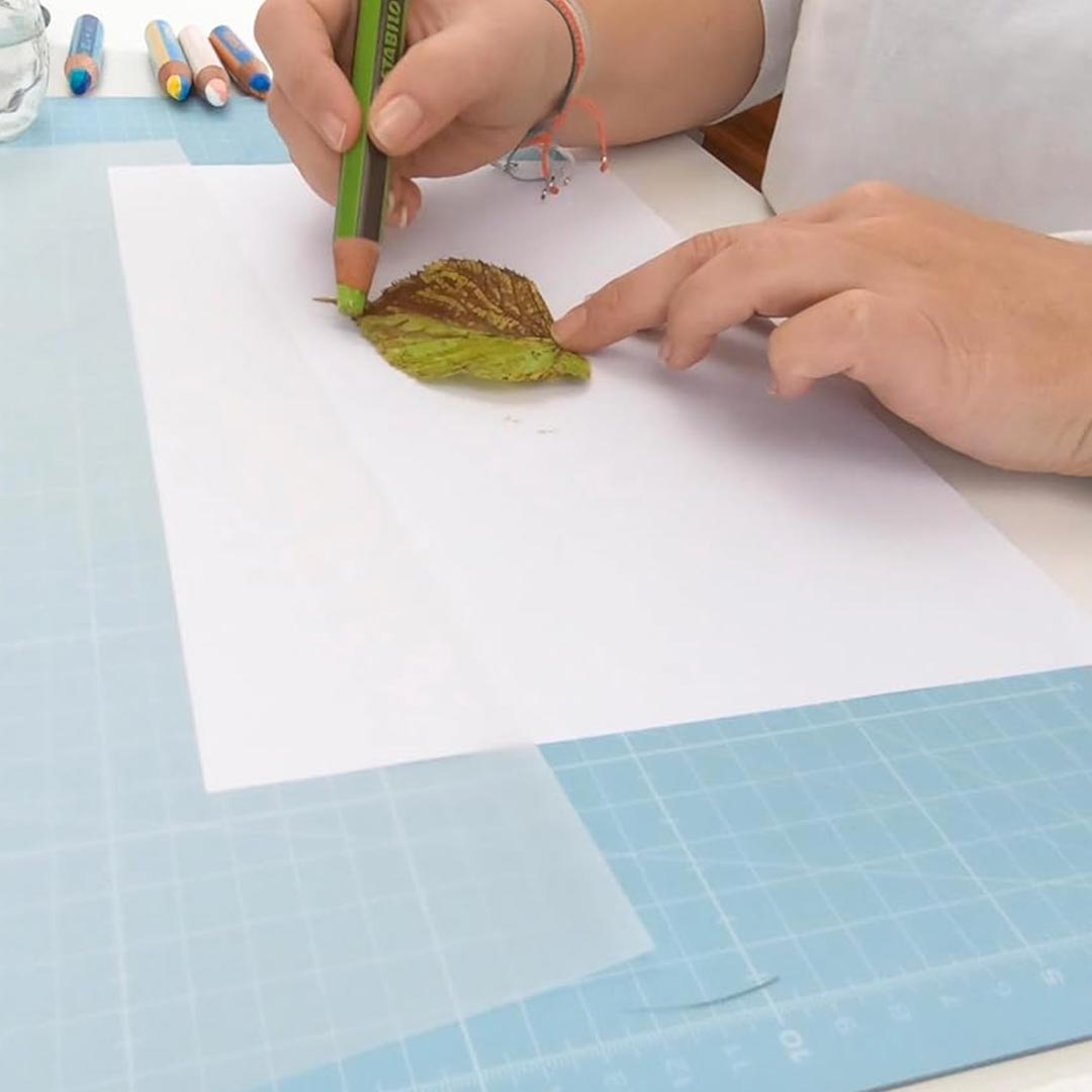 Stabilo | Multi-Talented Pencil | Woody 3 In 1 Duo |  Turquoise/Light Green | 1 Piece Stabilo