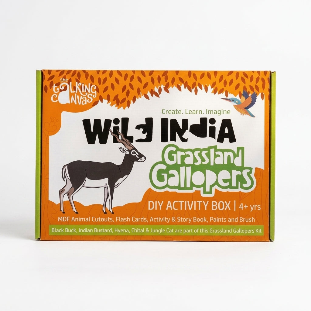 Wild India DIY Activity Kit for Kids - ttc grassland gallopers 3