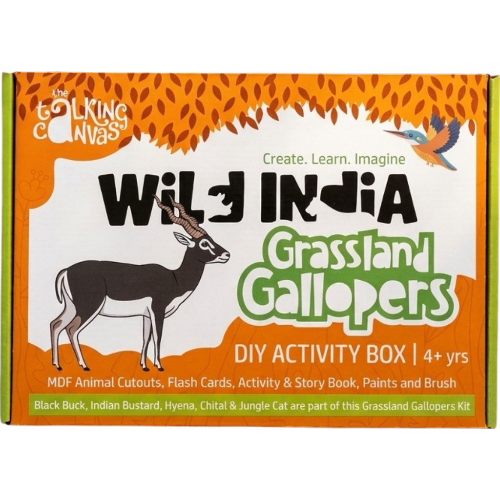 Wild India DIY Activity Kit for Kids - ttc grassland gallopers 4 swatch