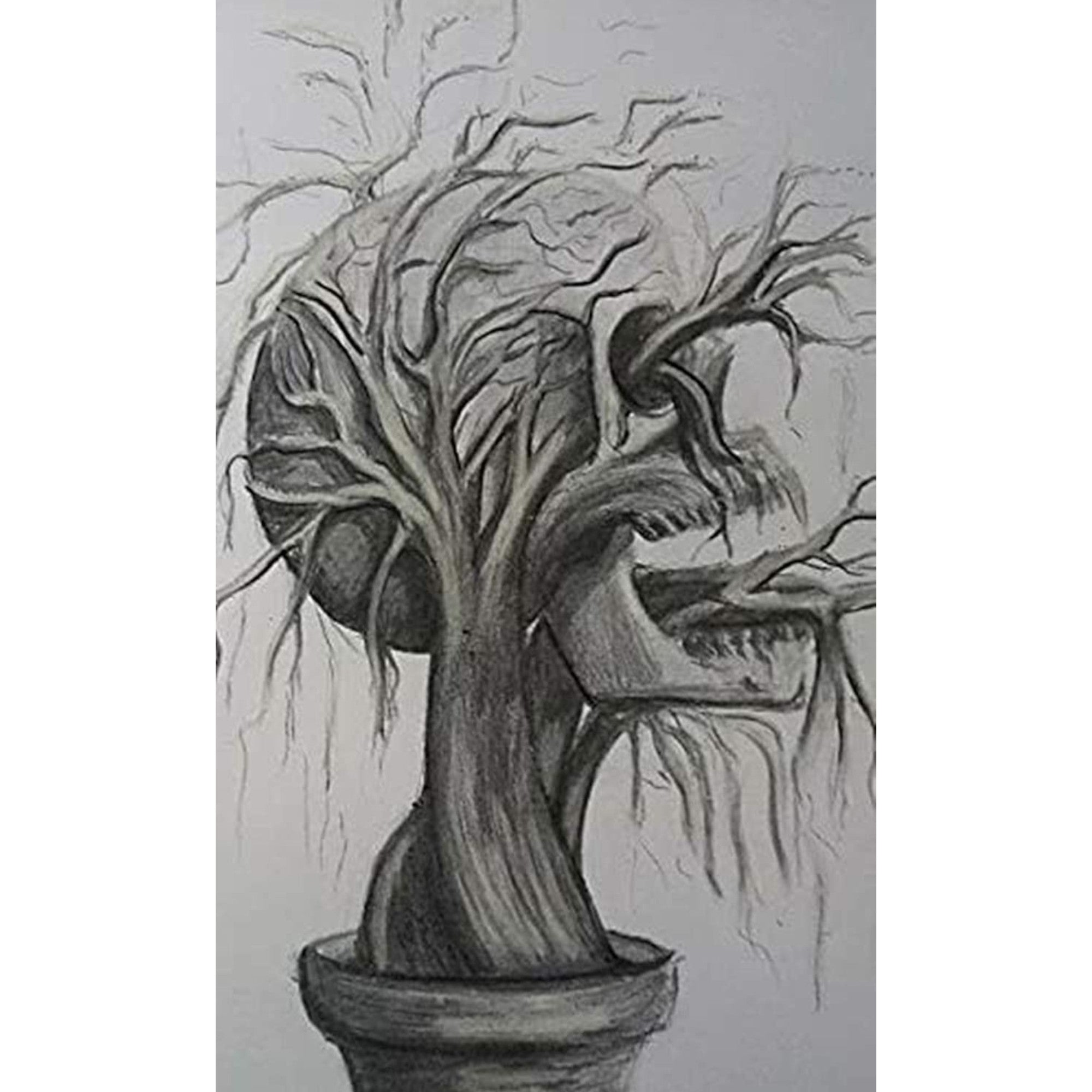 Worison Willow Charcoal Sticks - 25 PCs for Sketching and Drawing