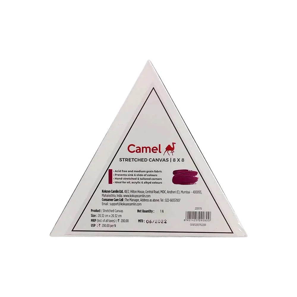 Camel Stretched Canvas (Choose Sizes) Canvazo