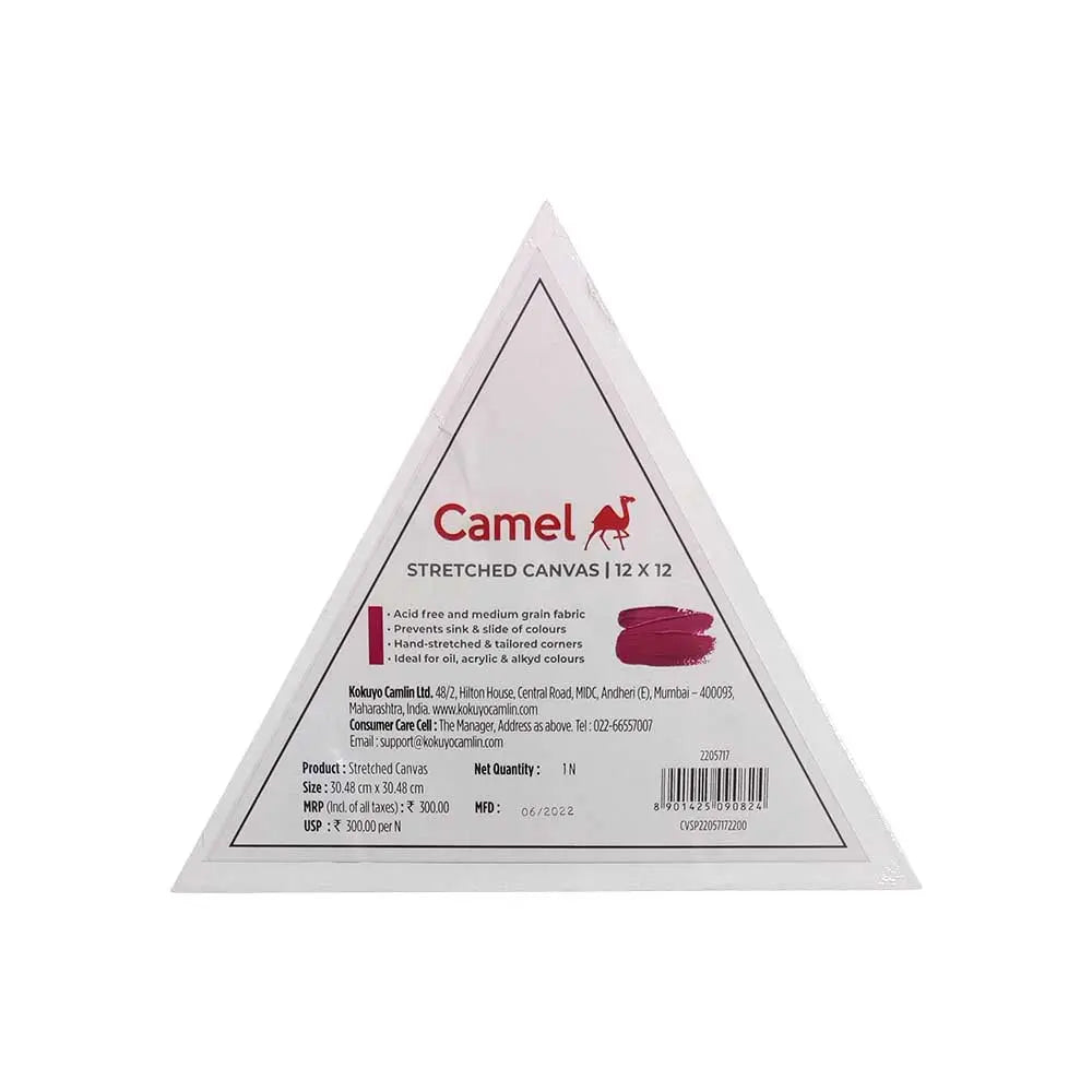 Camel Stretched Canvas (Choose Sizes) Canvazo
