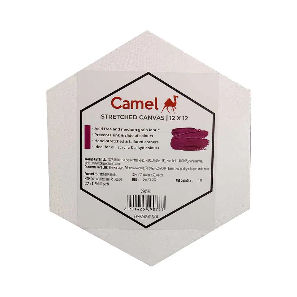 Camel Stretched Canvas (Choose Sizes) Canvazo
