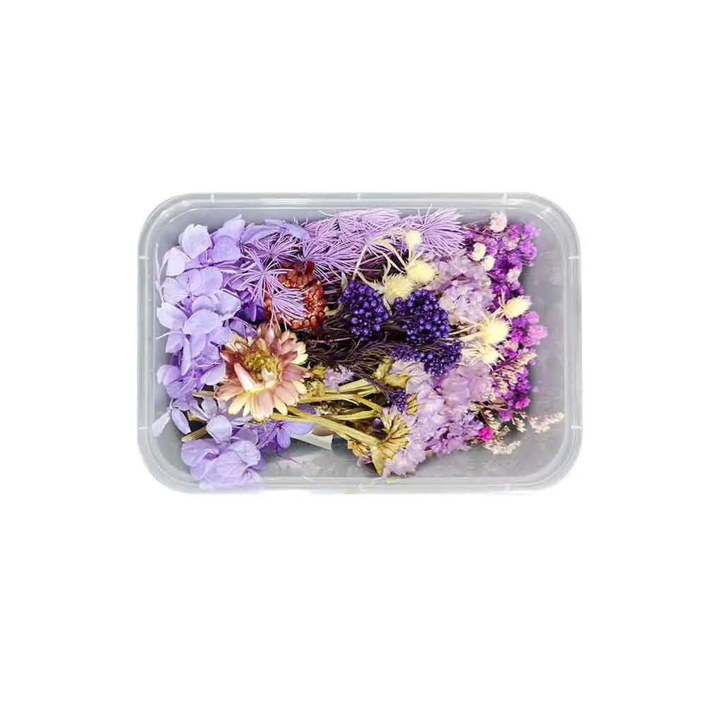 Canvazo Dried Flowers For Resin Art - ( Choose Colours ) Canvazo