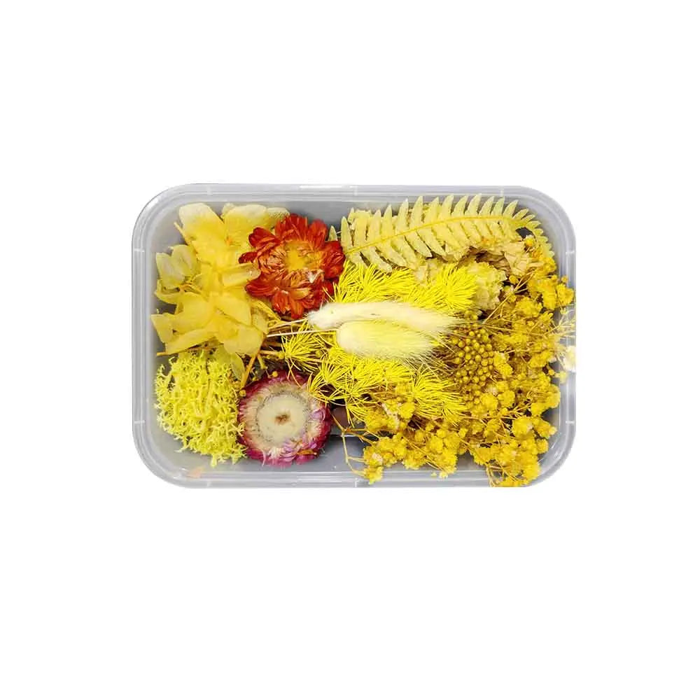 Canvazo Dried Flowers For Resin Art - ( Choose Colours ) Canvazo